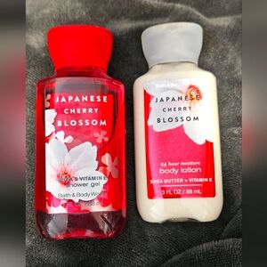 Japanese Cherry Blossom